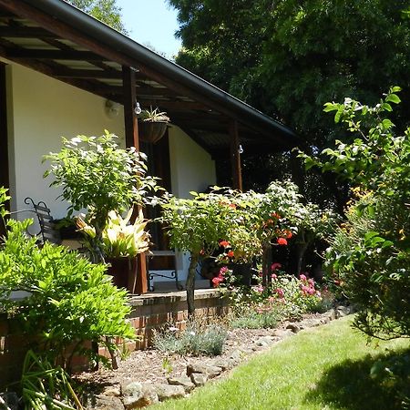 Wagners Cottages Swansea Exteriör bild