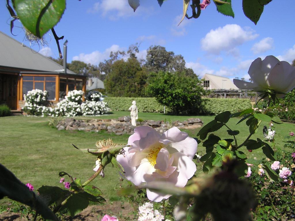 Wagners Cottages Swansea Exteriör bild
