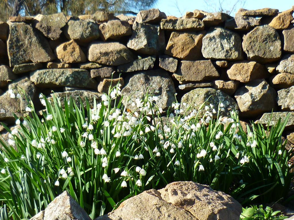 Wagners Cottages Swansea Exteriör bild
