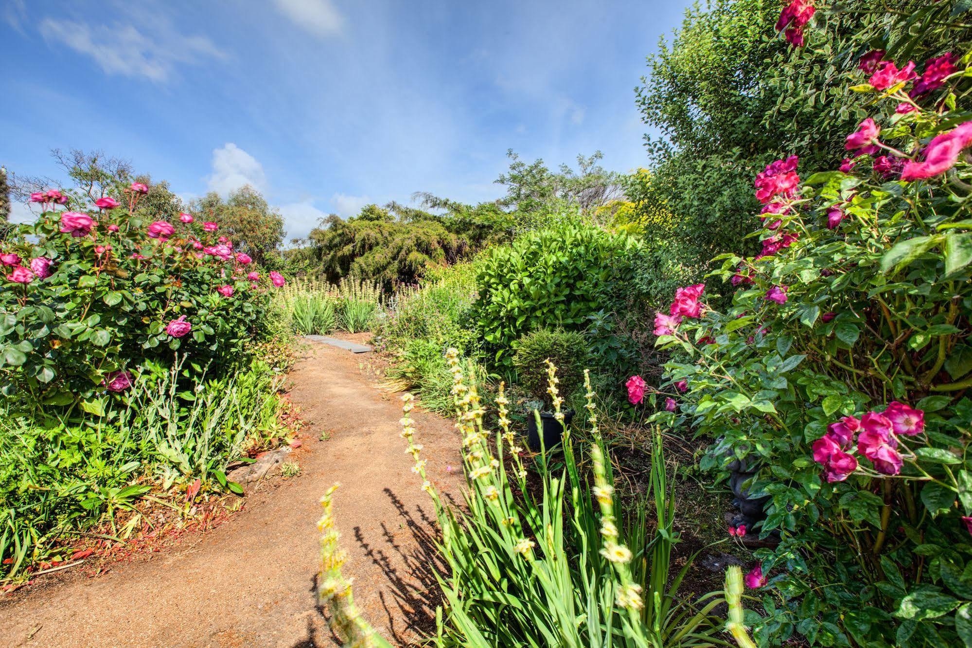 Wagners Cottages Swansea Exteriör bild